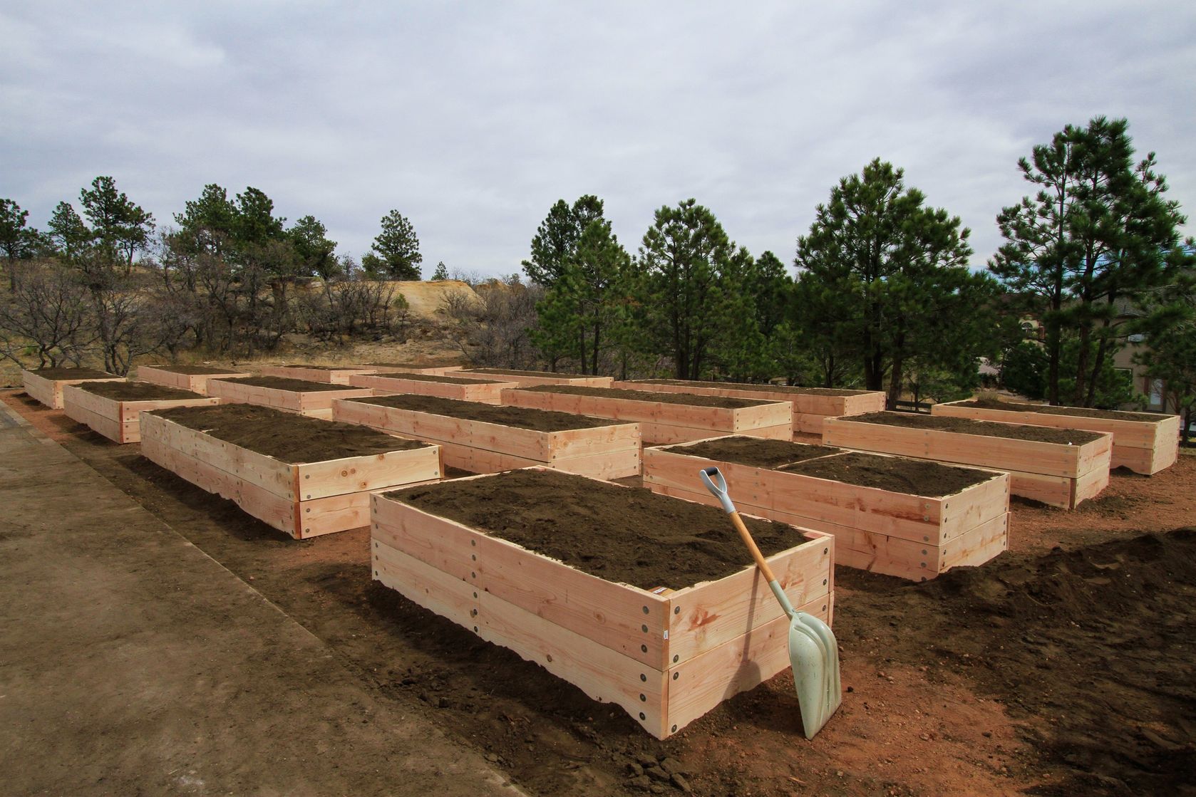 Raised Beds