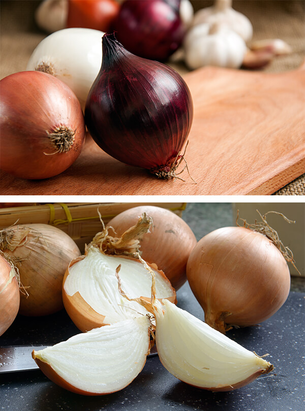 Edible Bulbs, Tubers & Crowns Arizona SummerWinds Nursery