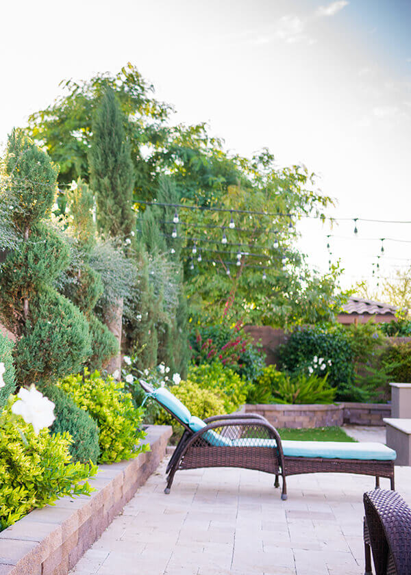 Poolside Plant & Décor Ideas Arizona SummerWinds