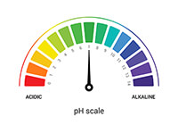 Understanding Your Soil Understanding Your Soil
