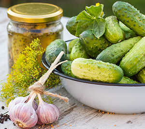 Pickling Cucumbers