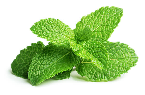 Mint Mint